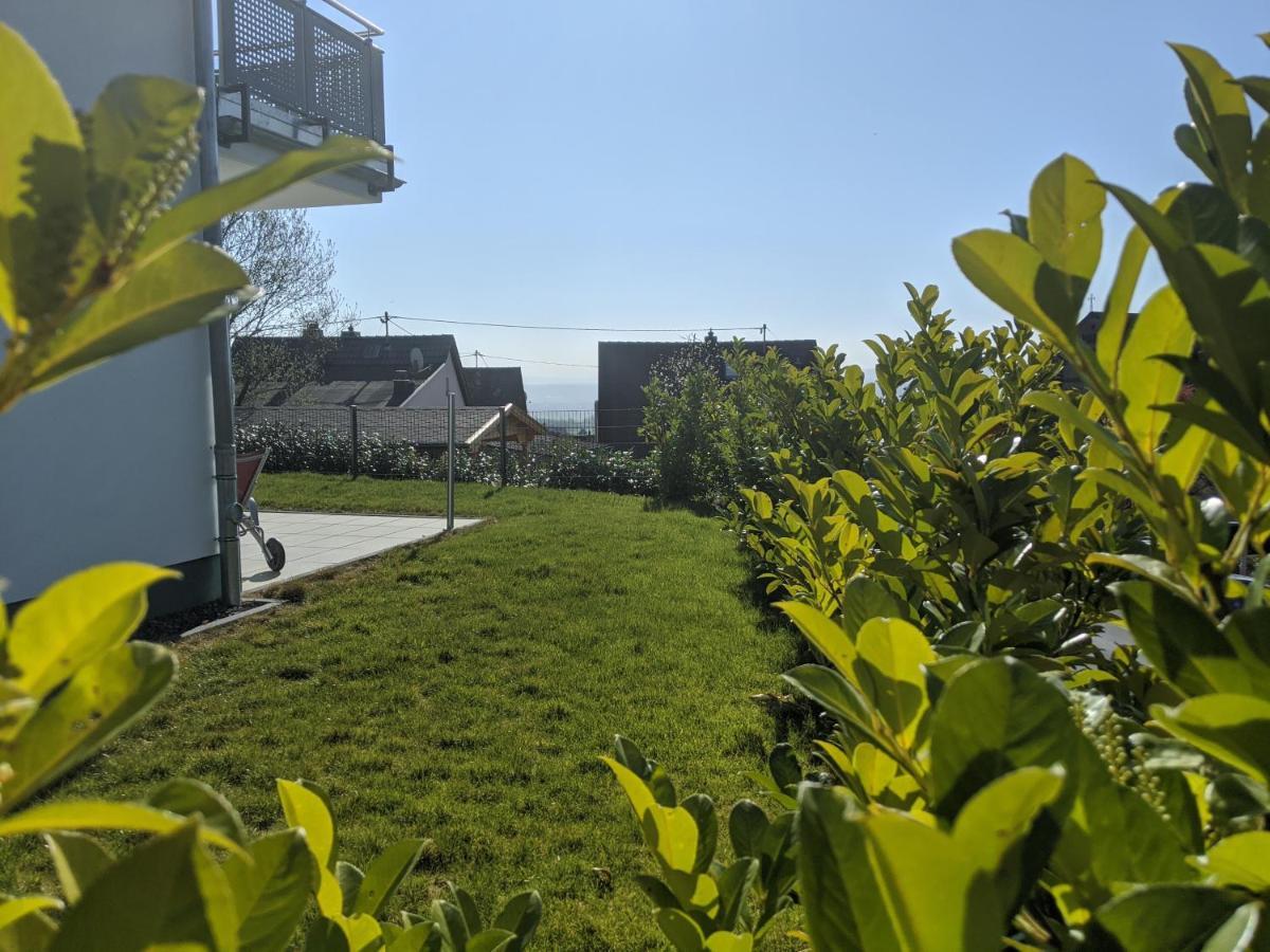 Ferienwohnungen Pellenzblick - Wohnen Auf Zeit - Nickenich Exteriör bild